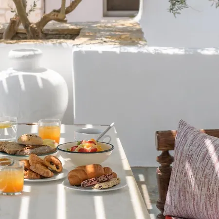 Kallisti Paros 아파트호텔 나오우사